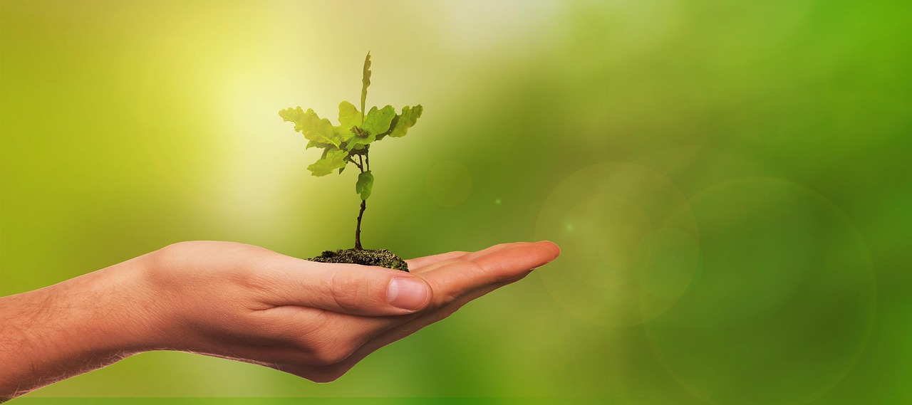 Introdução à Gestão Ambiental nas Organizações